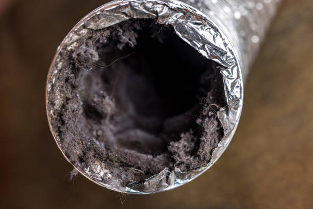 Best HVAC Air Duct Cleaning  in Lafayette, IN