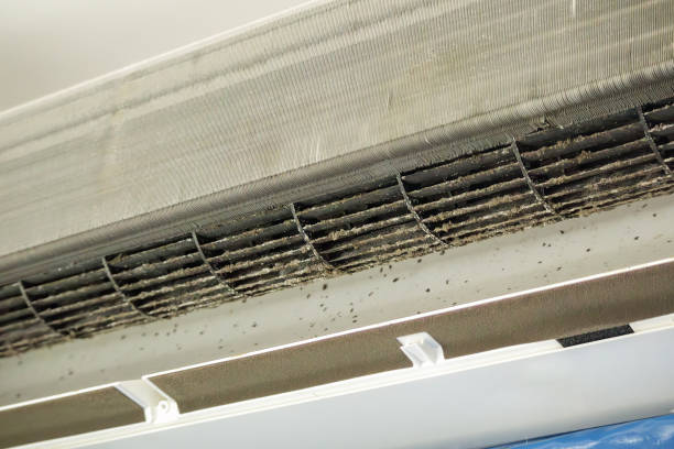 Best Affordable Air Duct Cleaning  in Lafayette, IN